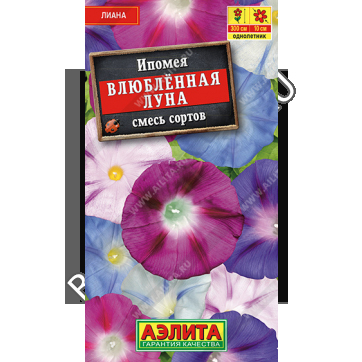 81fc8353-1535-11e7-aaf5-e4115badda84-009502eb-d3ab-11ed-811c-0cc47adb9c64