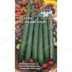 Огурец Аллигатор 2 F1 (Евро,0.2)