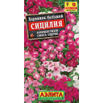 Барвинок Сицилия