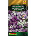 Алиссум Ночка (морской) (Евро, 0,1)