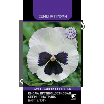 viola-krupnocvet-spring-matrix-white-blotch