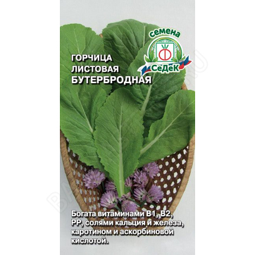 pryanost_gorchitsa_buterbrodnaya_listovaya