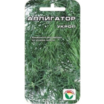 Укроп Аллигатор Семетра