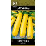 Кабачок Золотинка
